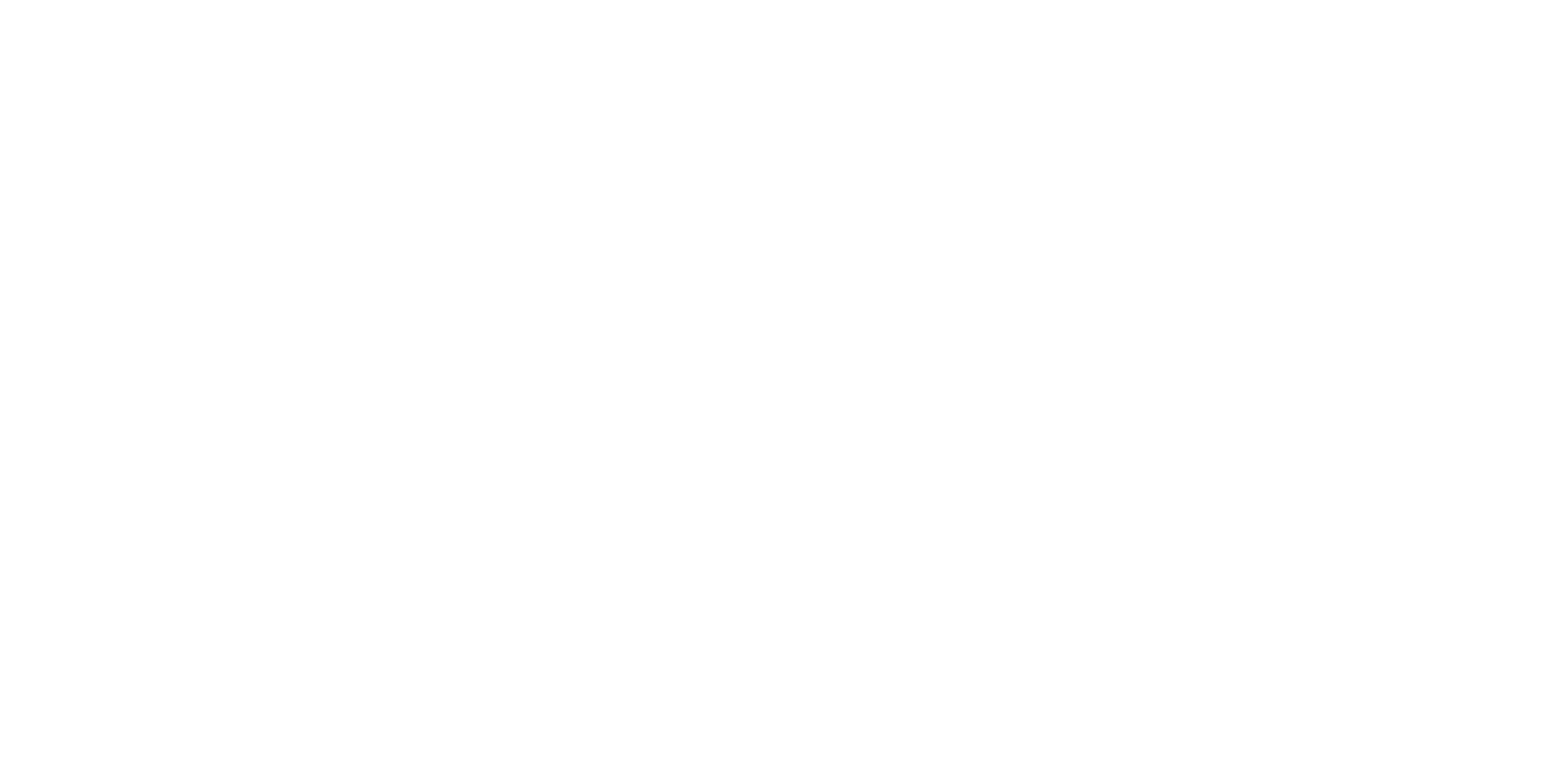 Logo CHAUVET Professional