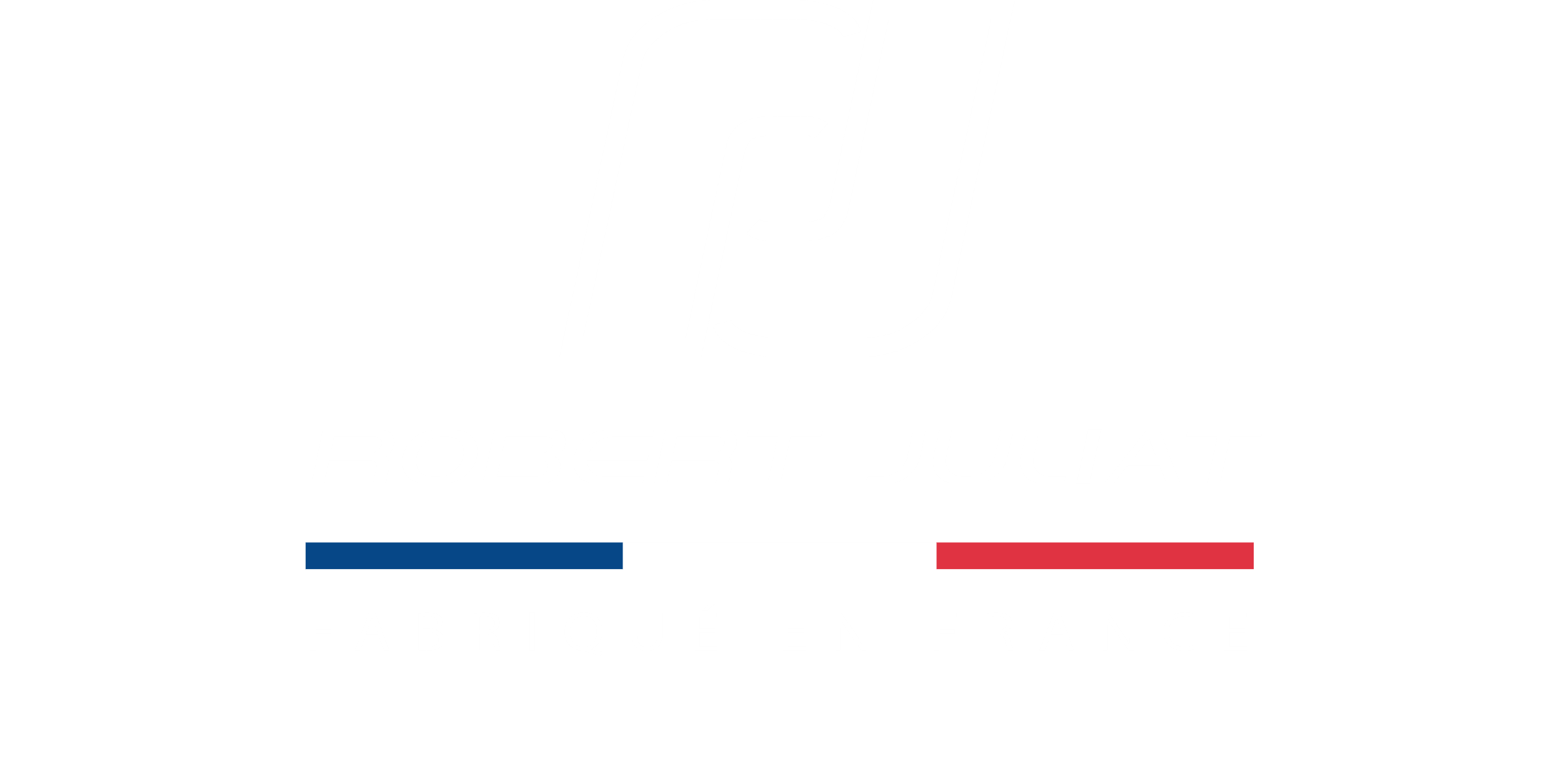 Logo ROBERT JULIAT